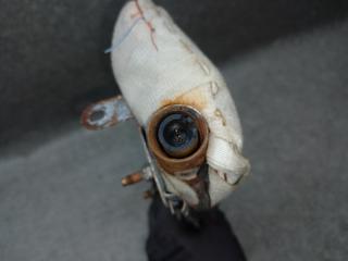 Подушка безопасности в сиденье передняя левая ACURA TLX 14-17 2.4 K24W7