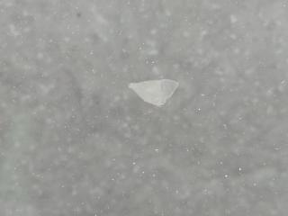 Стекло двери заднее левое HONDA CIVIC 4D 06-11 FD