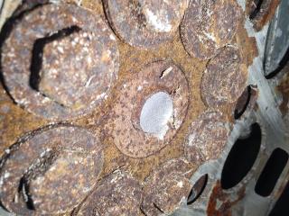 Двигатель бензин LEGACY BN 14-18 2014 2.5 FB25B