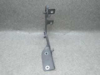 Петля капота правая NISSAN MURANO Z51 07-14 2008