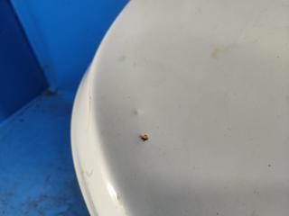 Крышка багажника ELANTRA MD 10-15