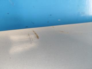 Крышка багажника ACCENT MC 06-10