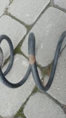 Пружина задней подвески VOLKSWAGEN JETTA USA 10-17