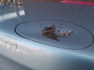 Крышка багажника AVALON 05-12 2007 GSX30 3.5 2GR-FE