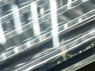 Фонарь внутренний левый OUTLANDER XL 05-13 2007 3.0 6B31