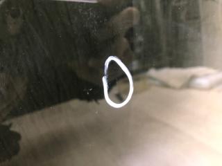 Стекло двери заднее правое SIENNA 11-16 2014 3.5 2GR-FE