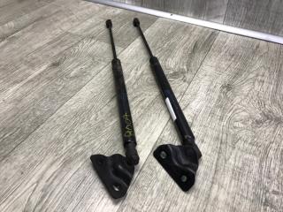 Амортизатор крышки багажника DODGE JOURNEY 08-20 2.4 ED3