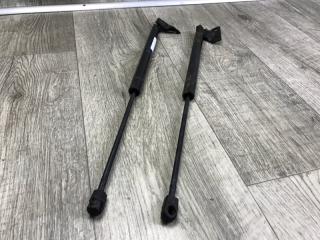 Амортизатор крышки багажника JOURNEY 08-20 2012 2.4 ED3