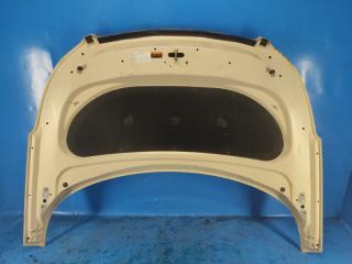 Капот SOUL PS 13-19 2017 ELECTRIC