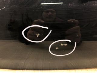 Капот AVENSIS 08-18