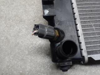 Радиатор основной LEAF 10-17 2011 EM61