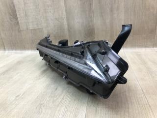 Дневной ходовой огонь правый LEXUS NX 14-21