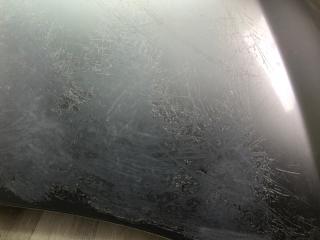 Капот QUEST S 11-17 2012 3.5 VQ35DE