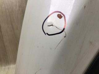 Капот LEAF 10-17 EM61