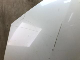 Капот LEAF 10-17 EM61