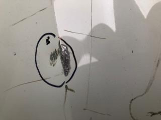 Капот PASSAT B7 11-15 2014 1.8 CPRA