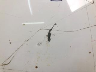 Капот PASSAT B7 11-15 2014 1.8 CPRA