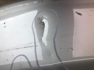 Капот VELOSTER 11-18 2012 1.6 G4FD