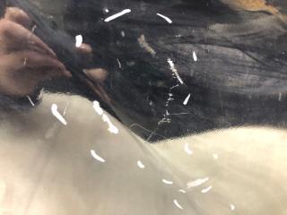 Крышка багажника VENZA 09-16 2009 3.5 2GR-FE