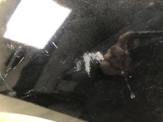 Крыло переднее левое VENZA 09-16 2009 3.5 2GR-FE