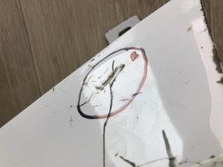 Крыло переднее левое FOCUS 10-18 2012