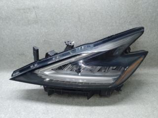 Фара левая NISSAN MURANO Z52 14- 2020