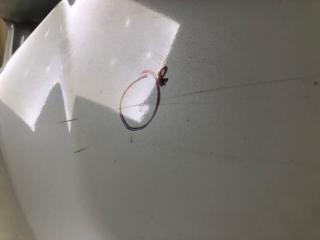 Крышка багажника FORTE BD 18-21