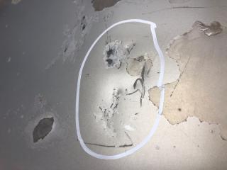 Крышка багажника HS250H (ANF10) 09-12 2009 2.4 2AZFXE