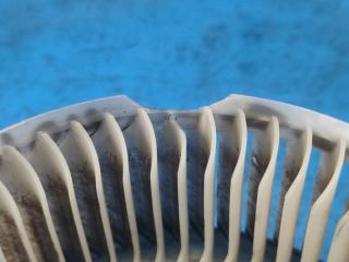 Моторчик печки JOURNEY 08-20 2016 2.4 ED3