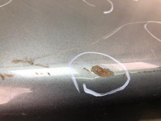 Крышка багажника ALTIMA L33 12-18 Седан