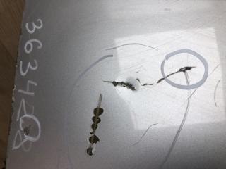 Крышка багажника SONATA YF 10-14 Седан