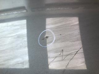 Крышка багажника SONATA YF 10-14 Седан 2.0