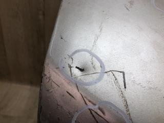 Крышка багажника ACCORD USA 07-12 Седан