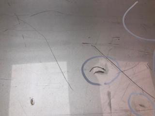 Крышка багажника GENESIS SEDAN 08-13