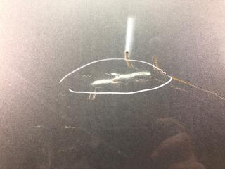 Дверь задняя правая ELANTRA AD 16- 2019 2.0 G4NH