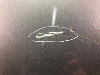 Дверь задняя правая ELANTRA AD 16- 2019 2.0 G4NH