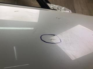 Дверь передняя правая LEAF 10-17 EM61