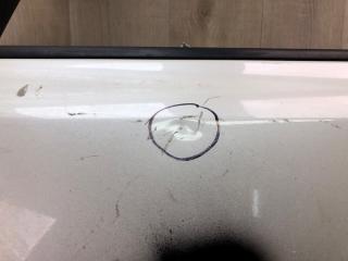 Дверь передняя левая LEAF 10-17 EM61