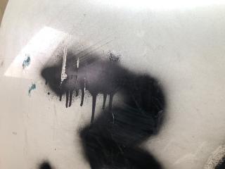 Дверь передняя левая LEAF 10-17 EM61