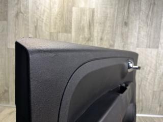 Карта двери передняя левая 500 (312/FF) 07-19 2016 ELECTRIC